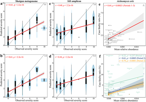 Figure 4. Microbiome signature taxa predict disease severity category of COVID-19 across cohorts. Predicted severity score from random forest (RF) regression model trained on (a) 74 metagenomic biomarkers, (b) all metagenomic species, (c) 66 16S biomarkers, and (d) all 16S species is associated with observed severity score. The mean relative abundance of Actinomyces oris (a severity-positive metagenomic biomarker) in the gut of healthy controls was positively associated with mortality rate of COVID-19 across 29 countries that reported at least 1,000 confirmed SARS-CoV-2 cases per country (e) during periods 1–3 and (f) each period. The abundance of gut metagenomic data of healthy controls were obtained from ExperimentHubCitation51 and mortality before COVID-19 vaccine administration in each country was obtained from JHU CSSE COVID-19 Dataset (please see Methods for details). r and p in red indicate Pearson’s correlation coefficient and p value; label on plot c indicates country. Solid lines show results from simple linear regression (lm function in R), with 95% confidence intervals shown in the shaded areas. The white circle represents the median of predicted severity score; the black bar in the center represents the interquartile range of predicted severity score; the light blue violin plot represents the kernel density of predicted severity score.