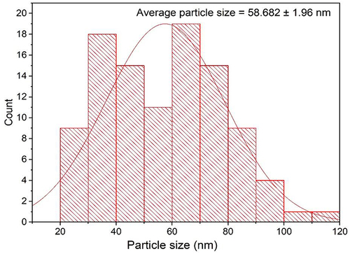 Figure 5 Particle size distribution histogram of the biogenic AgNPs (number of analyzed particles was 102).