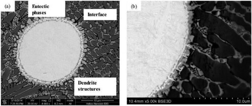Figure 26. Microstructure of a WC/Fe-based SMC produced by LDED. The interfacial region is emphasized: (a) a WC-particle embedded in the steel matrix; (b) magnified section of the thin interface. Reprinted with permission from [Citation169].