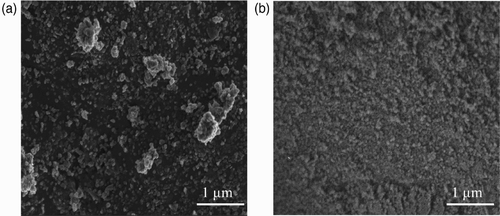 Figure 10. (a) FEG–SEM images of the nitrile rubber glove surface after 1.5 h of dynamic biaxial deformations and (b) after 7 h of dynamic biaxial deformations.