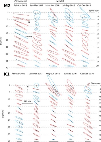 Fig. 14 Ellipses versus depth at the BC Ferries ADCP location: upper panel for M2 and lower panel for K1. The left-most column was computed from the observations over the period of Feb 25 to Apr 12, 2012, while the next four columns were computed from the model currents for the respective periods of JFM2017, MJ2016, JAS2016, and OND2016. Blue ellipses denote vectors that are rotating counterclockwise while red ellipses denote clockwise rotation.