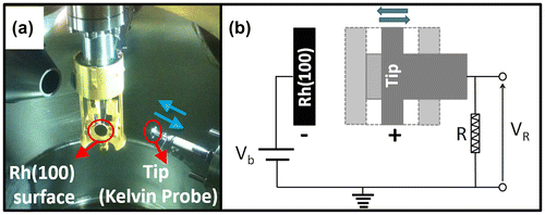 Figure 1. (a) Picture of the Rh(100) single crystal and the tip of the UHV-compatible Kelvin probe. (b) Simplified circuit diagram of the Kelvin probe.