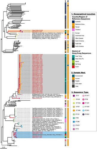 Figure 2. Phylogenetic analysis of 188 B. pseudomallei genomes (150 reference genomes and 38 genomes from isolates collected in this study). Maximum-likelihood phylogenies (mid-point rooted) of the SNPs of the 1646 single-copy cgMLST. Three monophyletic clades with more than one Hong Kong isolate identified are highlighted by colour blocks (grey: Clade 1, blue: Clade 2 and orange: Clade 3). Geographical location and sample host metadata of where the isolates were sampled were annotated and the sequence typing of the B. pseudomallei is denoted by circles next to the taxa. Bootstrap analysis of 1,000 replicates was performed and bootstrap values of selected nodes are shown (asterisk refers to 100%).