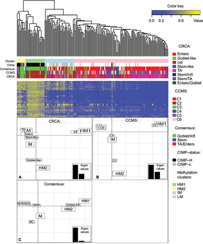 Figure 2 Clusters of colon cancer methylation data from the NIH TCGA portal obtained with average linkage clustering (methylation clusters HM1, HM2, IM and LM) are shown with corresponding matched expression-based subtypes obtained from three different subtyping schemes, namely CRCA (CRCassigner-786),132 CCMS (Colon Cancer Molecular Subtypes)Citation133 and consensusCitation134 (involving 5, 6 and 3 subtypes, respectively).