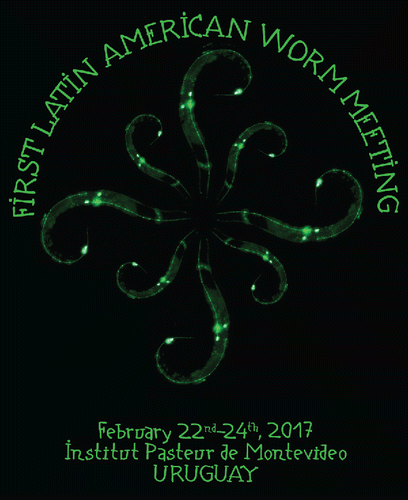 Figure 1. Meeting poster: GFP worm flowers for Latin America, made with worms expressing GFP under the mec-17 promoter (Zhang et al., Citation2002). Typography: MontevideoJTG (Alejandro Sequeira), based on Uruguayan painter Joaquin Torres García (1874–1949) characters. Poster © Calixto/Carrera. Reproduced by permission of Calixto/Carrera. Permission to reuse must be obtained from the rightsholder.