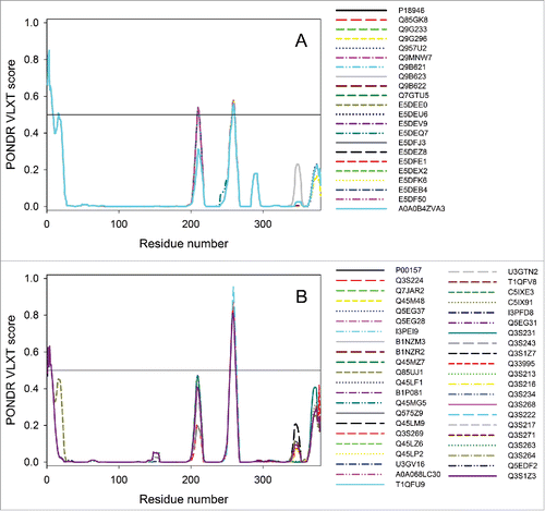 Figure 5. Analysis of the intra-species variability among the mtCyt-b proteins from chicken (A) and cattle (B). PONDR® VLXT profiles are shown to illustrate high similarities of intrinsic disorder propensities among proteins within these data sets.
