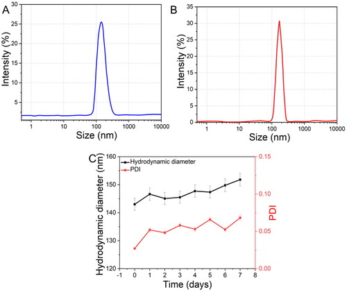 Figure 3. Size distributions measured by DLS of DTX@ZIF-8 and DTX@ZIF-8/HA. DTX@ZIF-8 and DTX@ZIF-8/HA dispersed in pH 7.4 PBS within 12 h and the varies of hydrodynamic diameters of DTX@ZIF-8/HA within 7 days.