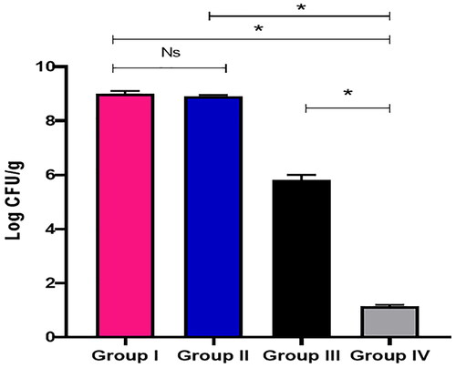 Figure 7. Bacterial burden in the lung tissues of the different experimental groups. *A significant difference (p < .05) between group I and group II.