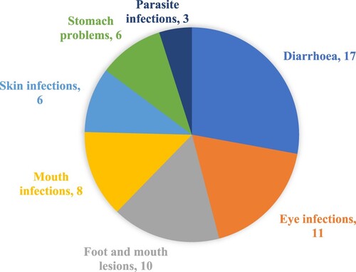 Figure 2. Number of reported goat disease symptoms by interviewed farmers.