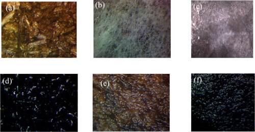 Figure 4. Microscopic images of (a) packed fibers in the tea bag, (b) the surface of the unmodified bagged sorbent (c) the surface of the modified bagged sorbent, (d) the modified fibers’ interaction with crude oil, (e) unmodified sorbent interaction with water and (f) modified sorbent’s interaction with crude oil.