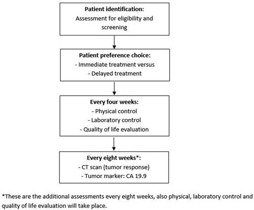 Figure 1. Follow-up TIMEPAN study. *These are the additional assessments every eight weeks, also physical, laboratory control and quality of life evaluation will take place.