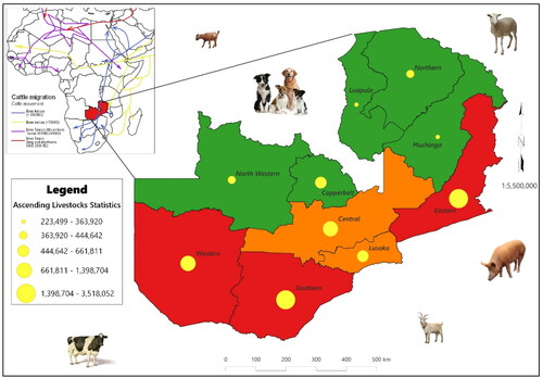 Figure 2. The distribution of livestock (cattle) across different regions in Zambia.