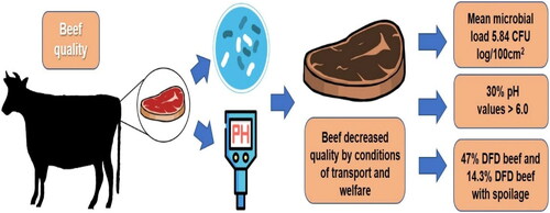 Figure 4. Beef quality, highlighting the evaluation methods and their poor post-slaughter quality.
