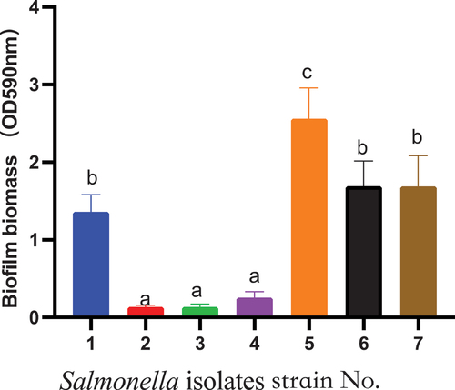 Figure 2. Biofilm formation ability of Salmonella isolates from different source. 1: Manure from chickens in 108 days stage; 2, 3, and 4: organic manure after 30 days of fermentation; 5: manure from sick chickens; 6: manure from the chickens that fed terramycin; 7: manure from the chickens that fed oxytetracycline.