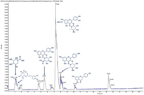 Figure 1. The total ion chromatogram of E. milii flowers extract presented the major identified metabolites (quinic acid, chlorogenic acid, quercetin-3-glucuronide, quercitrin, kaempferol-3-O-α-l-rhamnoside and naringenin according to the retention time) via LC–ESI-MS/MS in negative ion mode.