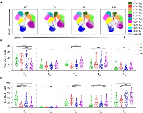 Figure 2. T cell subsets in HIV-1-infected individuals. CD45RA, CD27, and CCR7 expression in peripheral blood mononuclear cells (PBMCs) was determined using flow cytometry. T cell subsets were defined as follows: naïve (TN; CD45RA+ CD27+ CCR7+), central memory (TCM; CD45RA− CD27+ CCR7+), transitional memory (TTM; CD45RA− CD27+ CCR7−), effector memory (TEM; CD45RA− CD27− CCR7−), and terminal differentiated/effector (TTD/TE; CD45RA+ CD27+ CCR7−). (A) Uniform manifold approximation and projection (UMAP) analysis of T cell subsets in healthy controls (HCs), treatment-naïve individuals (TNs), immunological responders (IRs), and immunological non-responders (INRs). Each point on the high-dimensional mapping represents an individual cell, and the UMAP plots show the cell populations in different colours. (B–C) Proportions of (B) CD4 and (C) CD8 T cell subsets in HCs (n = 20), TNs (n = 23), IRs (n = 33), and INRs (n = 38). Data are expressed as the median (interquartile range, IQR). Each dot represents a participant. Statistical significance between two groups was determined using non-parametric unpaired Mann–Whitney U test. *P < 0.05, **P < 0.01, ***P < 0.001, ****P < 0.0001.