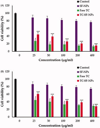 Figure 5. In vitro cytotoxicity of TC-SF-NPs against breast cancer cell lines. (A) MCF-7 and (B) MDAMB-231 cells were incubated with different concentrations (25–400 μg/ml) of free TC, SF-NPs or TC-loaded SF-NPs for 72 h. Untreated cells served as controls. The dose of TC in TC-SF-NPs group was equivalent to that of free TC group. Cell viability was assessed by MTT assay. Data represent mean ± SD. #p < .05 vs. TC-SF-NPs, ***p < .005 vs. SF-NPs. TC: tamoxifen citrate; SF-NPs: silk fibroin nanoparticles; TC-SF-NPs: tamoxifen citrate silk fibroin nanoparticles.