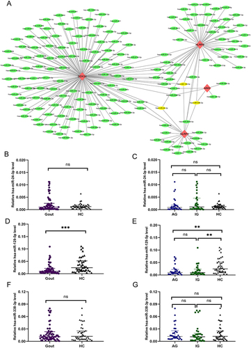 Figure 4 mRNA-miRNA co-expressed networks and co-targeted miRNAs differentially. (A) The mRNA-miRNA co-expression network is built by Cytoscape and consists of 181 nodes and 191 edges. DDX3X has 122 target miRNAs, NLRP3 has 20 target miRNAs, NLRP9 has 44 target miRNAs, and AIM2 has only 5 target miRNAs. One node represents an mRNA or miRNA, and one edge represents an interaction between an mRNA and miRNA. Red diamonds represent hub genes, green circles represent miRNAs, and yellow circles represent co-targeting miRNAs (three hub genes targeted). (B–G) Differential expression of co-targeted miRNA between Gout and HC groups or between AG, IG and HC groups. ***p < 0.001, **p < 0.01.