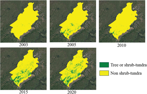 Figure 15. The reclassified maps by harden the NDVI maps with threshold.