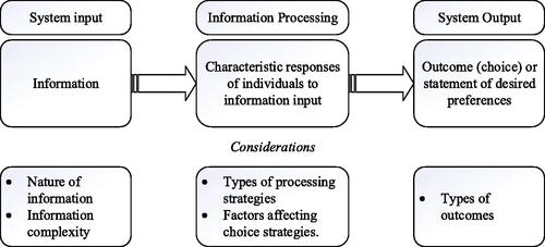Figure 1. Consumer Information Processing System.Source: Chestnut and Jacoby (Citation1977).