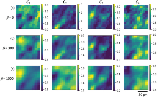 Figure 7. Spatial distribution of the coefficients Cj of the four features with spatial contraints, β = 0, 300, 1000. The subscript number j of C corresponds to the feature number in FIG.6. The spatial size of the images is 75 μm × 75 μm. The feature patterns obtained with other β values are provided in S8 in the supplemental information.
