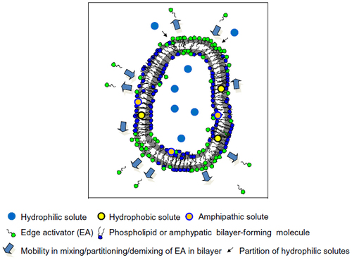 Figure 1 A representative scheme of the lipids and EA comprising UDVs and the carried molecules.