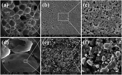 Figure 12. SEM images of the samples at 8°C/min: (a-c) top of the samples, (d-f) bottom of the samples.