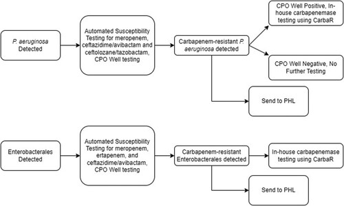 Figure 1. Current workflow for carbapenemase testing carbapenem-resistant P. aeruginosa isolates. Automated antimicrobial susceptibility testing was performed with BD Phoenix Platform. CPO well = the detection test for carbapenemase-producing organisms on the BD Phoenix panel. CRE = Enterobacterales resistant to either meropenem or ertapenem. CarbaR, PHL = public health laboratory.
