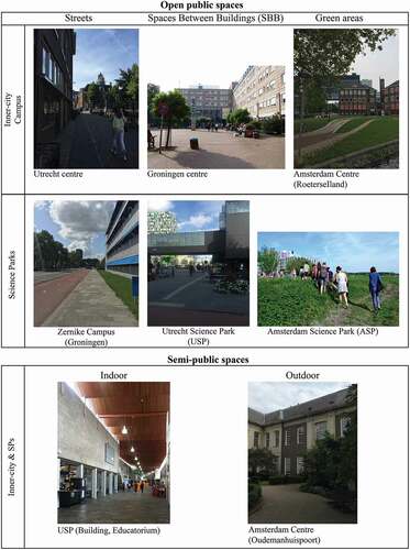 Figure 2. Visualization of public spaces typologies.