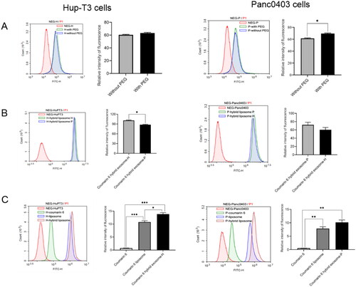 Figure 5. Analysis cellular uptake of hybrid exosomes in HuP-T3 cells (left panels) and Panc0403 cells (right panels) by flow cytometry. Coumarin 6 is used as fluorescence probe to determine uptake ratio. Treated with different types of formulations for 4 h, two cell lines were collected for FITC detection. The influences of PEG modification and cellular heterogeneity on cellular uptake after incubated different types of hybrid exosomes in HuP-T3 (Left panels of Figure 5(A,B)) and Panc0403 (Right panels of Figure 5(A,B)) cells. The cellular uptake efficiency of various coumarin 6 formulations in HuP-T3 (Left panel of Figure 5(C)) and Panc0403 (Right panel of Figure 5(C)) cells. NEG means negative control, H means HuP-T3 cells, P means Panc0403 cells. Data were expressed as the mean ± SD (n = 3). *p < .05, **p < .01, ***p < .001.
