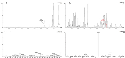 Figure 8. UPLC-MS/MS profiles of chemical pure EtOAc solvent (a); UPLC-MS/MS profiles of the EtOAc extract from liquid culture of Alternaria panax (b).