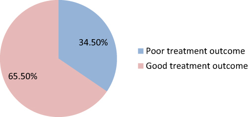 Figure 1 Treatment outcomes of pediatric patients with epilepsy in DCSH, 2022.
