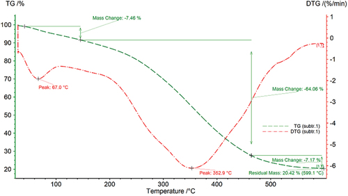 Figure 4. TG and DTG curves for soybeans.
