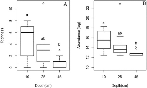 Figure 4 A, richness and B, abundance of chironomid individuals at different depths and sampling sites in Tijuca River, Rio de Janeiro. Different lowercased letters show significative differences.