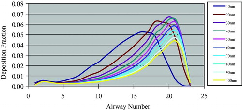 FIGURE 2 Deposition fraction (y-axis) versus airway number (x-axis). (Figure provided in color online.)