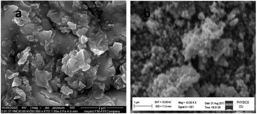 Figure 5. (a) FESEM image of coating 8YSZ on carbide insert by Sol_ gel, (b) FESEM image of 8YSZ thin film on carbide insert by Electrostatic Spray coating [Citation18].