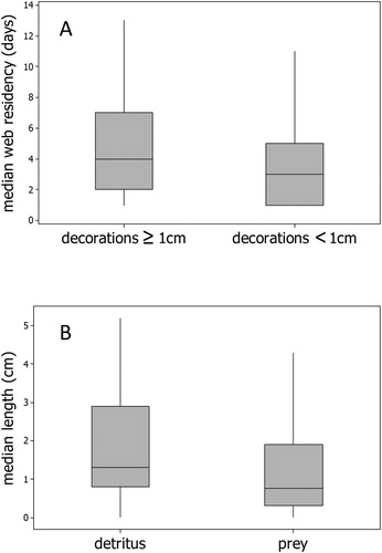 Figure 4. Deconstructed aspects of the decorations of Trichonephila antipodiana: A, the relationship between web residency and functional decorations; B, the relative composition of decorations by size of detrital and prey items.
