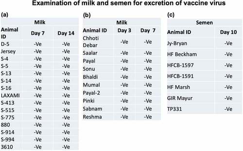 Figure 5. Evaluation of the excretion of vaccine virus in milk and semen in vaccinated animals under field conditions. Animals were vaccinated with Lumpi-ProVacInd. Milk and semen samples were collected from the lactating cows and bulls respectively, and examined for the presence of LSDV genome by qRT-PCR. –Ve represents absence of LSDV genome.