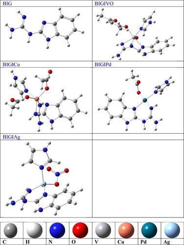 Figure 5. Optimized structures of the studied chelates.