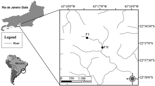 Figure 1 Map of the study area indicating the sampling sites (P I and P II) in the Tijuca River, Tijuca National Park, Rio de Janeiro, Rio de Janeiro state, Brazil.