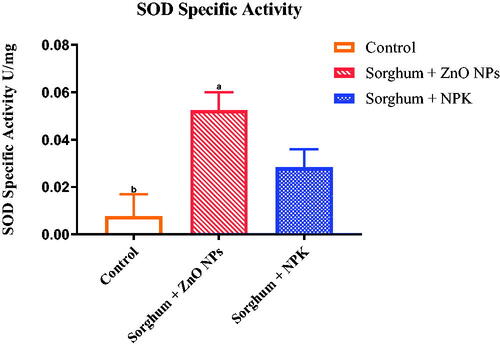 Figure 8. Superoxide dismutase activity of Sorghum bicolour shoots treated after 10 days with ZnO NPs and NPK.