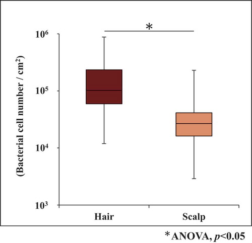 Figure 1. Bacterial cell number (copies/cm2) on hair and scalp