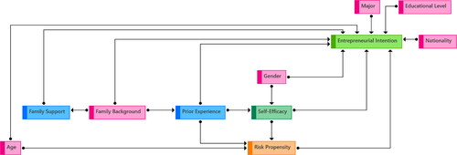 Figure 3. Relationships stemming from demographical factors.Legend:Pink = Demographical factors; Blue = Social factors; Green = Cognitive factors.