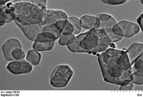 Figure 1. The transmission electron micrograph of ZnONPs depicting polygonal to quasi-spherical shapes. For imaging purposes, a FEI Tecnai 12 instrument equipped with a digital camera from Gatan was utilized. The nanoparticles were dried on a copper grid coated with a carbon layer.