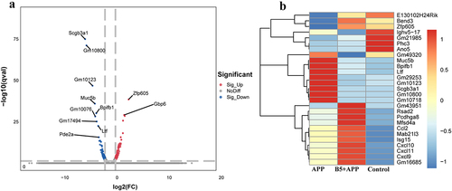 Figure 8. Analysis of differentially expressed genes. a, differentially expressed genes were shown in volcano plots (B5 + APP group vs APP group). b, representative differentially expressed genes were shown in heat map.
