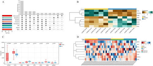 Figure 8. Identification and validation of Hub genes. (A) Identification of Hub genes with R package “UpSet”; (B) Heatmap of the 8 Hub genes in the GSE169077 datasets; (C,D) Boxplot and Heatmap of the 8 Hub genes in the GSE55235 and GSE55457 datasets.