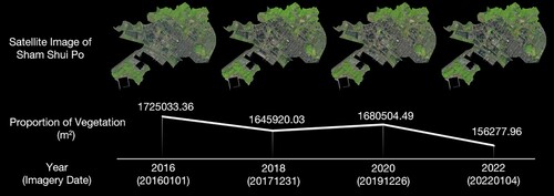 Figure 6. Estimation of the area of vegetation region in Shum Shui Po district from 2016–2022 using Sentinel-2 multispectral satellite imagery.