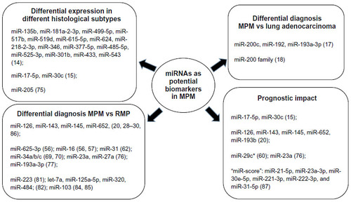 Figure 1 MicroRNAs (miRNAs) with potential as clinical biomarkers in malignant pleural mesothelioma (MPM).