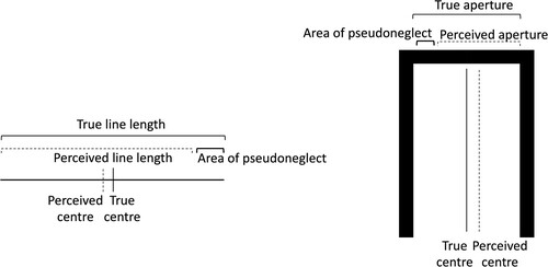 Figure 1. Comparison of pseudoneglect in near and far space. Solid lines indicate true dimensions, broken lines indicate perceived dimensions, and the bolded bracket highlights the underestimated area of visual space resulting in pseudoneglect. On the left, a typical leftward bias on the line bisection task is shown for near space. On the right, a rightward bias in far space is shown in a bumping task.