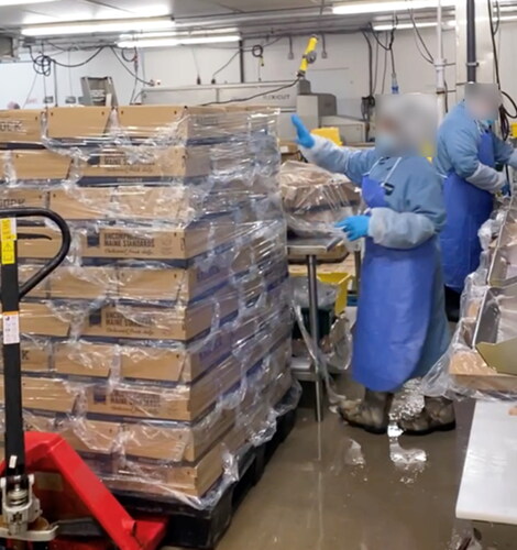 Figure 2. Workers packaging and transferring boxes of seafood in a seafood processing facility.